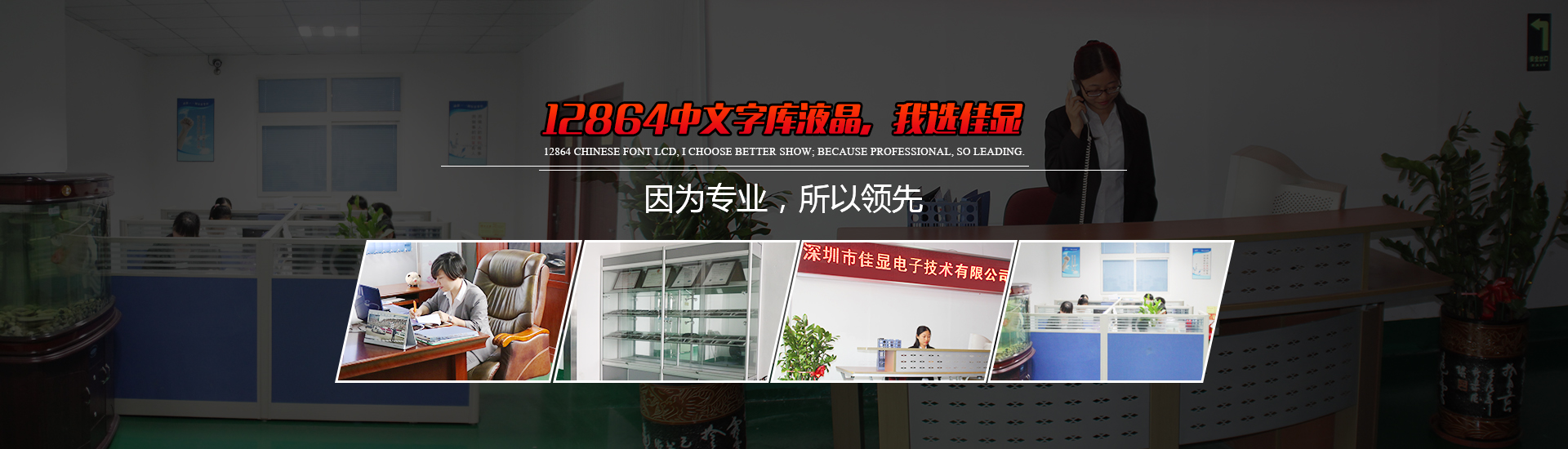 中文字庫(kù)液晶